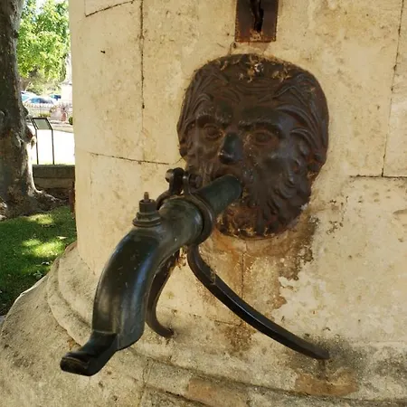 L'oliveraie