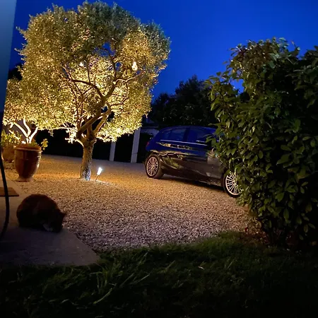 Guest house L'oliveraie